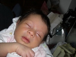 CIMG0583.JPG