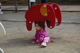 DSC_5836.JPG