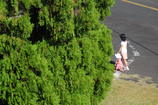DSC_6247.JPG