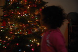 DSC_6521.JPG