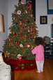 DSC_6522.JPG