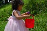 DSC_7096.JPG
