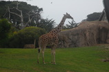 DSC_7291.JPG