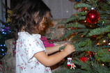 DSC_7641.JPG