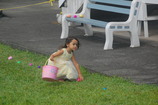 DSC_8775.JPG