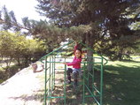 100_0867.JPG