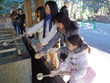 IMGP0041.JPG