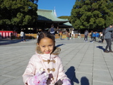 IMGP0056.JPG