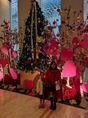 IMG_20161225_110804.jpg
