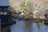 DSC_2884.JPG